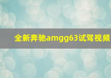 全新奔驰amgg63试驾视频