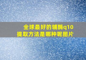 全球最好的辅酶q10提取方法是哪种呢图片