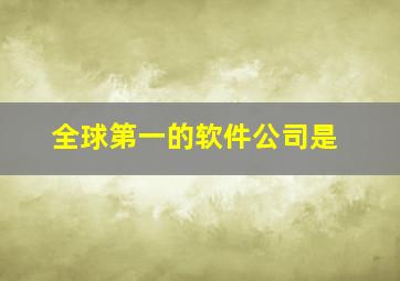 全球第一的软件公司是