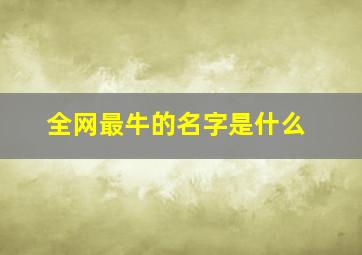 全网最牛的名字是什么