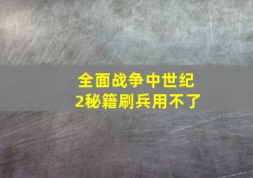 全面战争中世纪2秘籍刷兵用不了