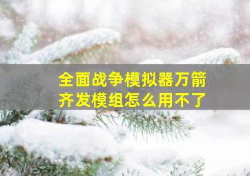 全面战争模拟器万箭齐发模组怎么用不了