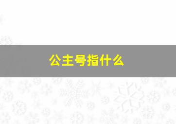 公主号指什么