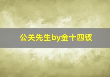 公关先生by金十四钗