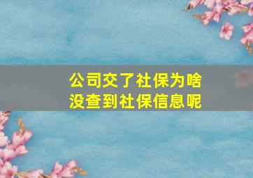 公司交了社保为啥没查到社保信息呢