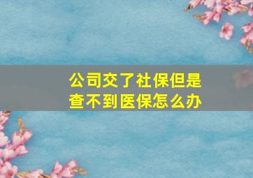 公司交了社保但是查不到医保怎么办