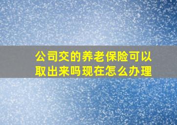 公司交的养老保险可以取出来吗现在怎么办理