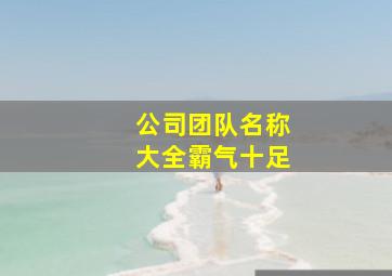 公司团队名称大全霸气十足