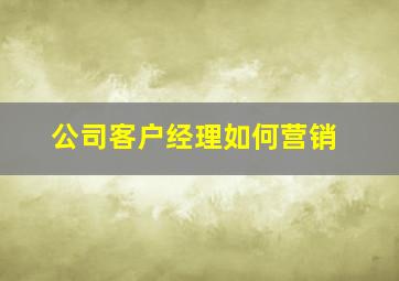 公司客户经理如何营销