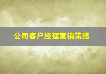 公司客户经理营销策略