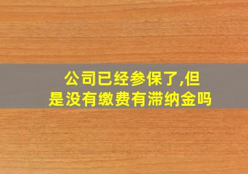 公司已经参保了,但是没有缴费有滞纳金吗