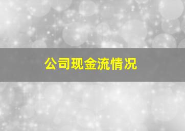 公司现金流情况