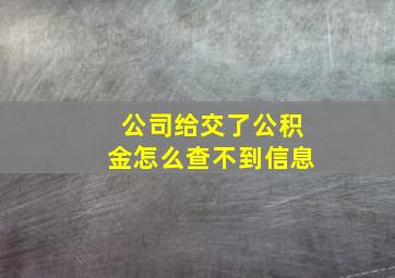 公司给交了公积金怎么查不到信息