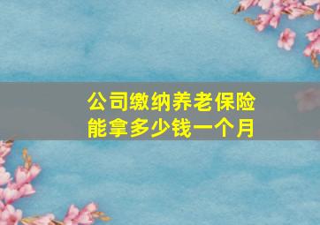 公司缴纳养老保险能拿多少钱一个月