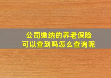 公司缴纳的养老保险可以查到吗怎么查询呢