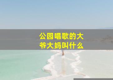 公园唱歌的大爷大妈叫什么