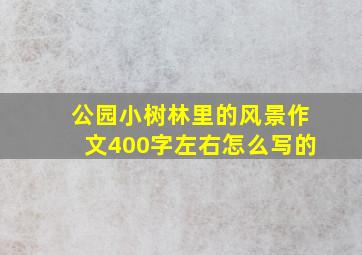 公园小树林里的风景作文400字左右怎么写的