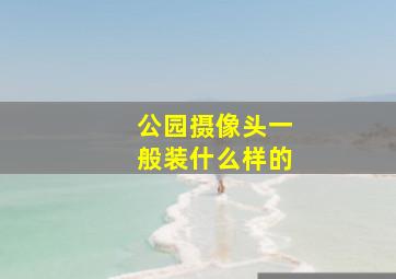 公园摄像头一般装什么样的