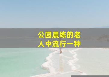 公园晨练的老人中流行一种