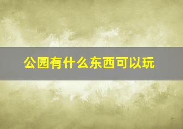 公园有什么东西可以玩