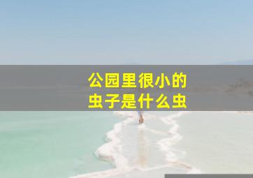 公园里很小的虫子是什么虫