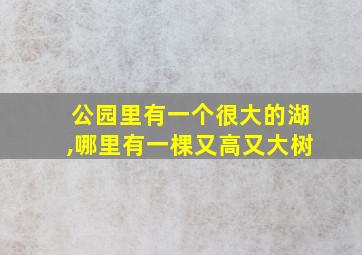 公园里有一个很大的湖,哪里有一棵又高又大树