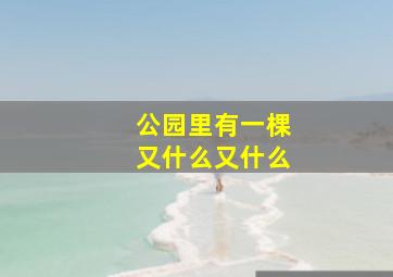 公园里有一棵又什么又什么