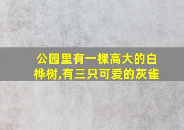 公园里有一棵高大的白桦树,有三只可爱的灰雀