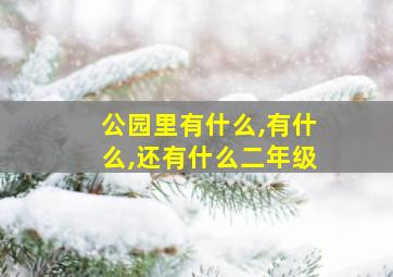 公园里有什么,有什么,还有什么二年级