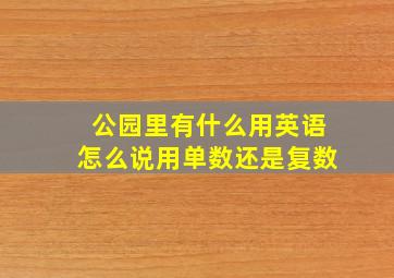 公园里有什么用英语怎么说用单数还是复数