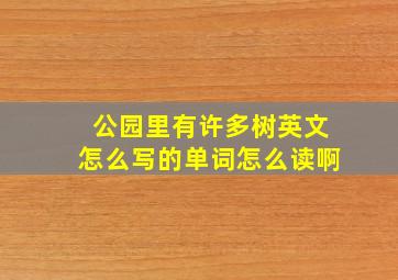 公园里有许多树英文怎么写的单词怎么读啊