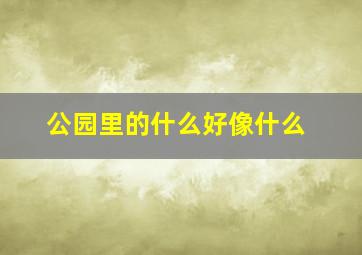 公园里的什么好像什么