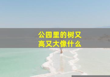 公园里的树又高又大像什么