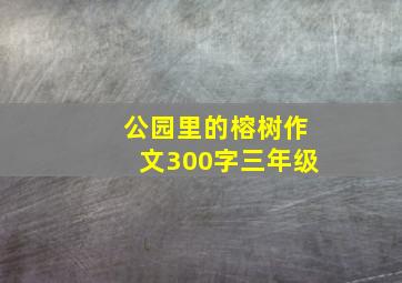 公园里的榕树作文300字三年级