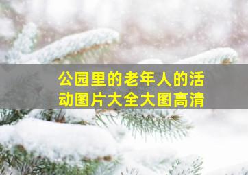 公园里的老年人的活动图片大全大图高清