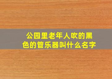 公园里老年人吹的黑色的管乐器叫什么名字