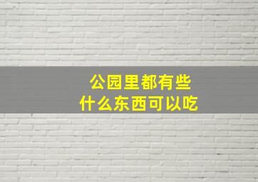 公园里都有些什么东西可以吃