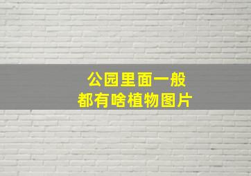 公园里面一般都有啥植物图片