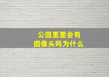 公园里面会有摄像头吗为什么