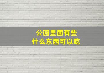 公园里面有些什么东西可以吃