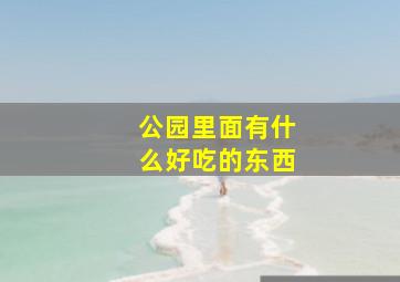 公园里面有什么好吃的东西