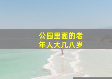 公园里面的老年人大几八岁