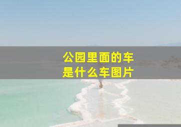 公园里面的车是什么车图片