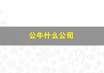 公牛什么公司