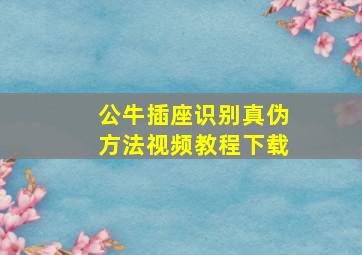 公牛插座识别真伪方法视频教程下载