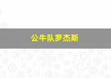 公牛队罗杰斯