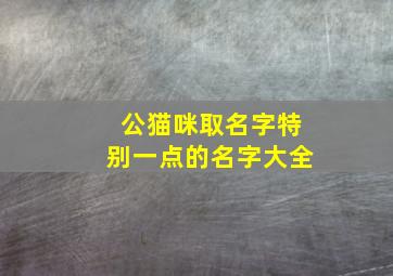 公猫咪取名字特别一点的名字大全