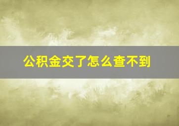 公积金交了怎么查不到