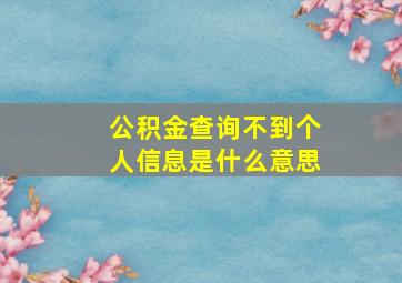 公积金查询不到个人信息是什么意思