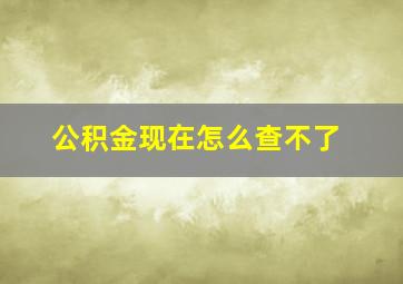 公积金现在怎么查不了